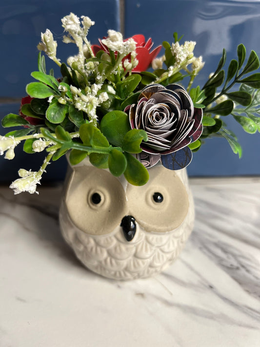 Little White Owl 1