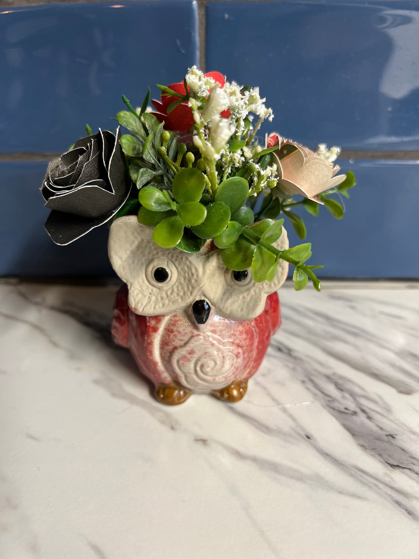 Red Owl Little