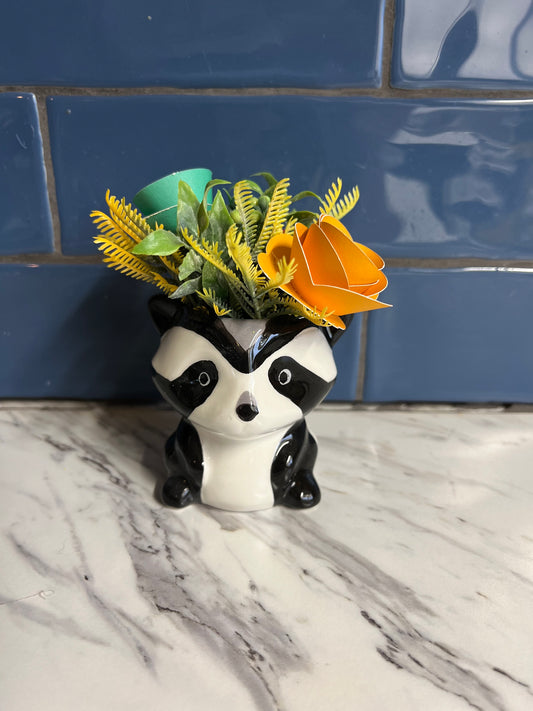 Raccoon Little