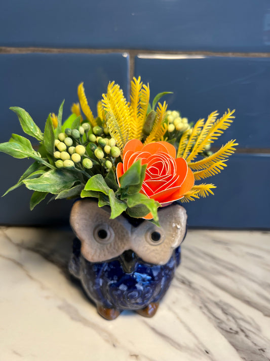 Little Blue Owl 2