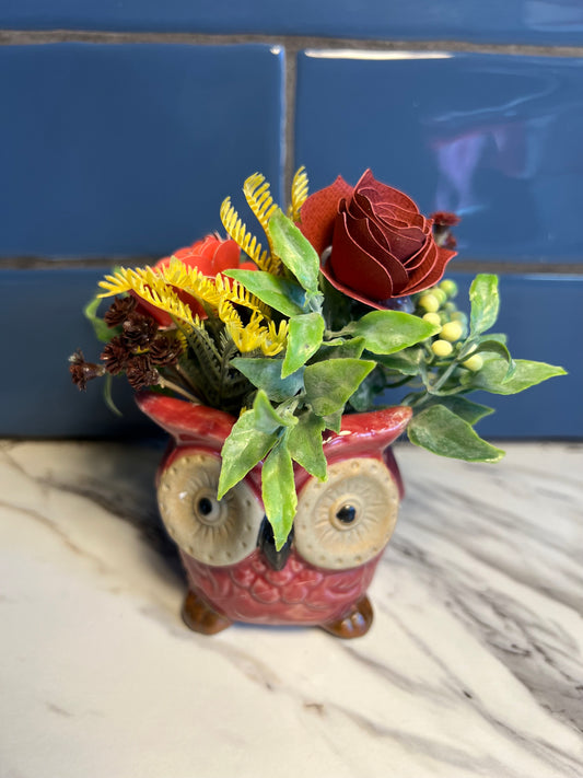 Little Red Owl 1