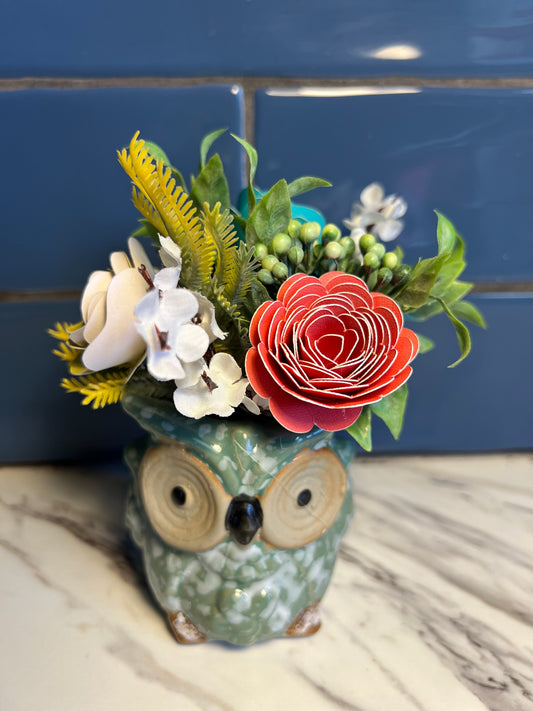 Green Owl Little